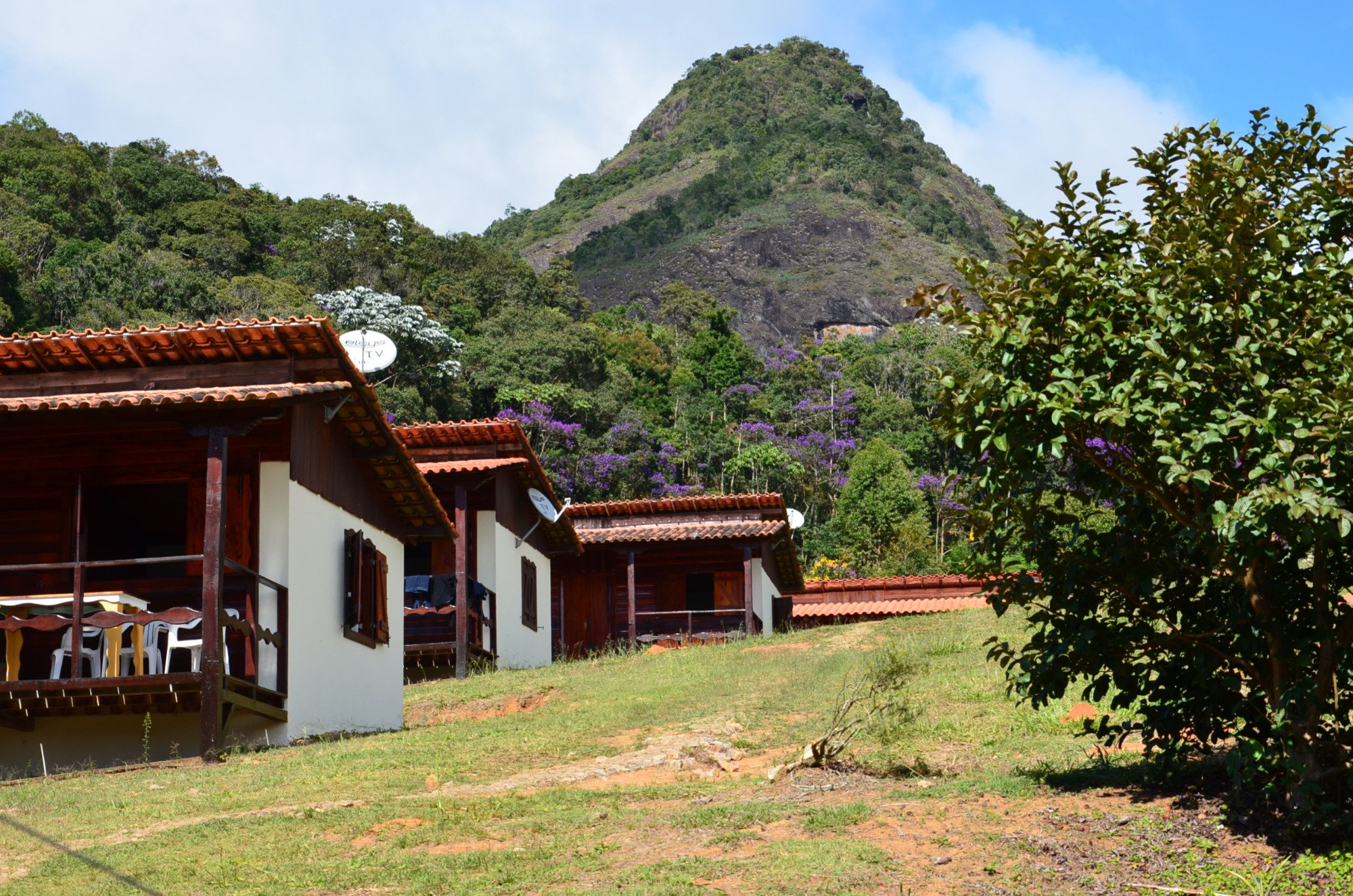 Araponga Minas Gerais fonte: dynamic-media-cdn.tripadvisor.com Fonte: dynamic-media-cdn.tripadvisor.com
